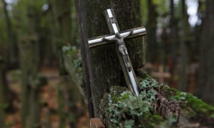 Крест как главный образ нашего спасения. О значении креста в жизни христианина