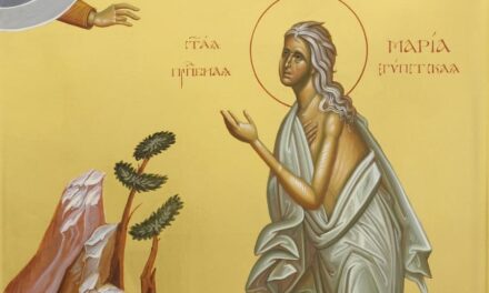 Почему во время Великого поста так часто поминают прп. Марию Египетскую?