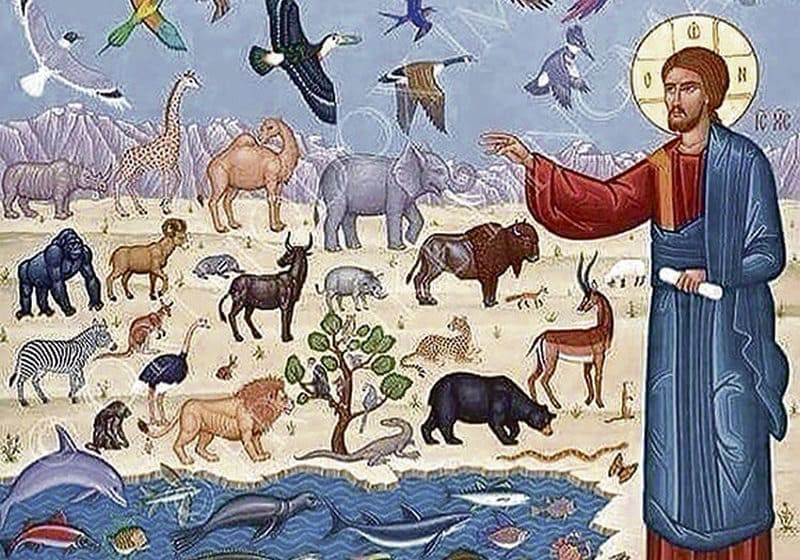 «Человеки и скоты спасеши, Господи» Участвуют ли животные в богообщении?