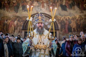 Митрополит Антоний (Паканич)