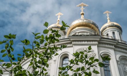 Прививание деревьев и Крещение