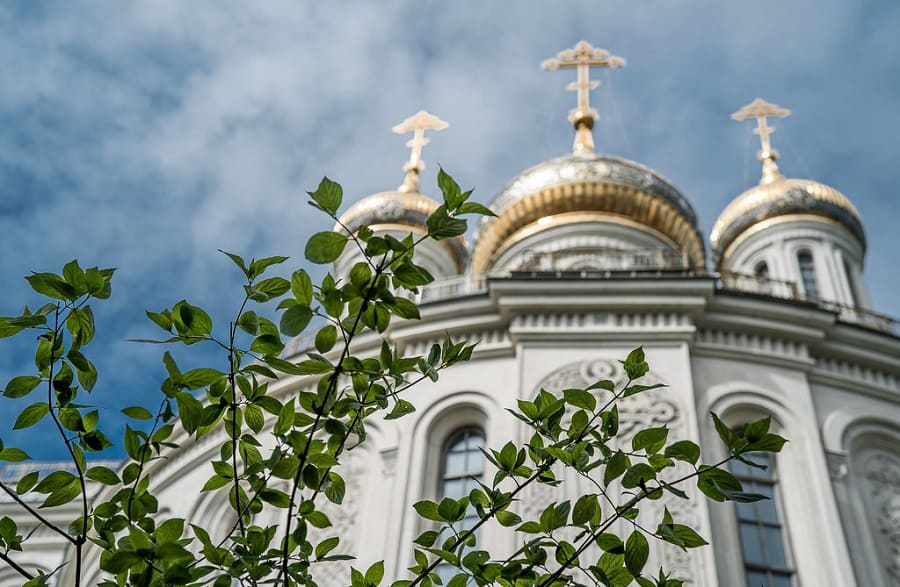 Прививание деревьев и Крещение