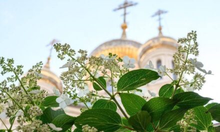 Как привести к вере родителей?