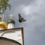 Ты хочешь научиться любви Божией?