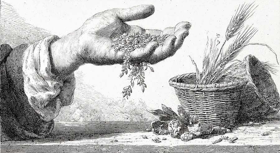 Не оскудеет рука дающего