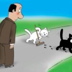 Не бойся кошки!