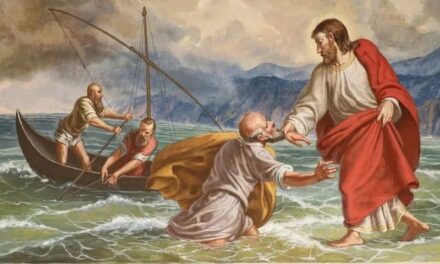 Проповедь в Неделю 9-ю по Пятидесятнице